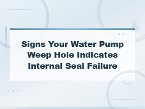 Signs Your Water Pump Weep Hole Indicates Internal Seal Failure