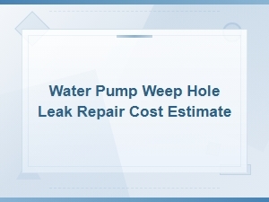 Water Pump Weep Hole Leak Causes and Repair Cost Guide